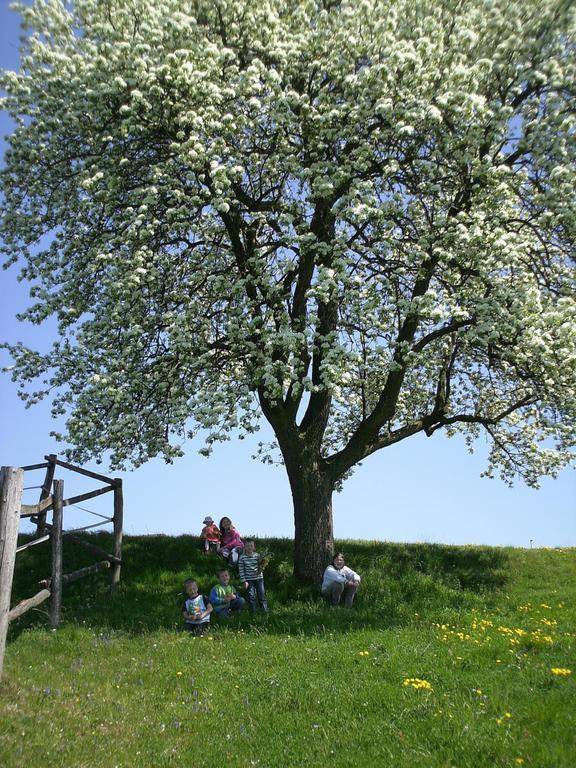 Bio-Bauernhof Haunschmid Villa Ardagger Markt Eksteriør bilde